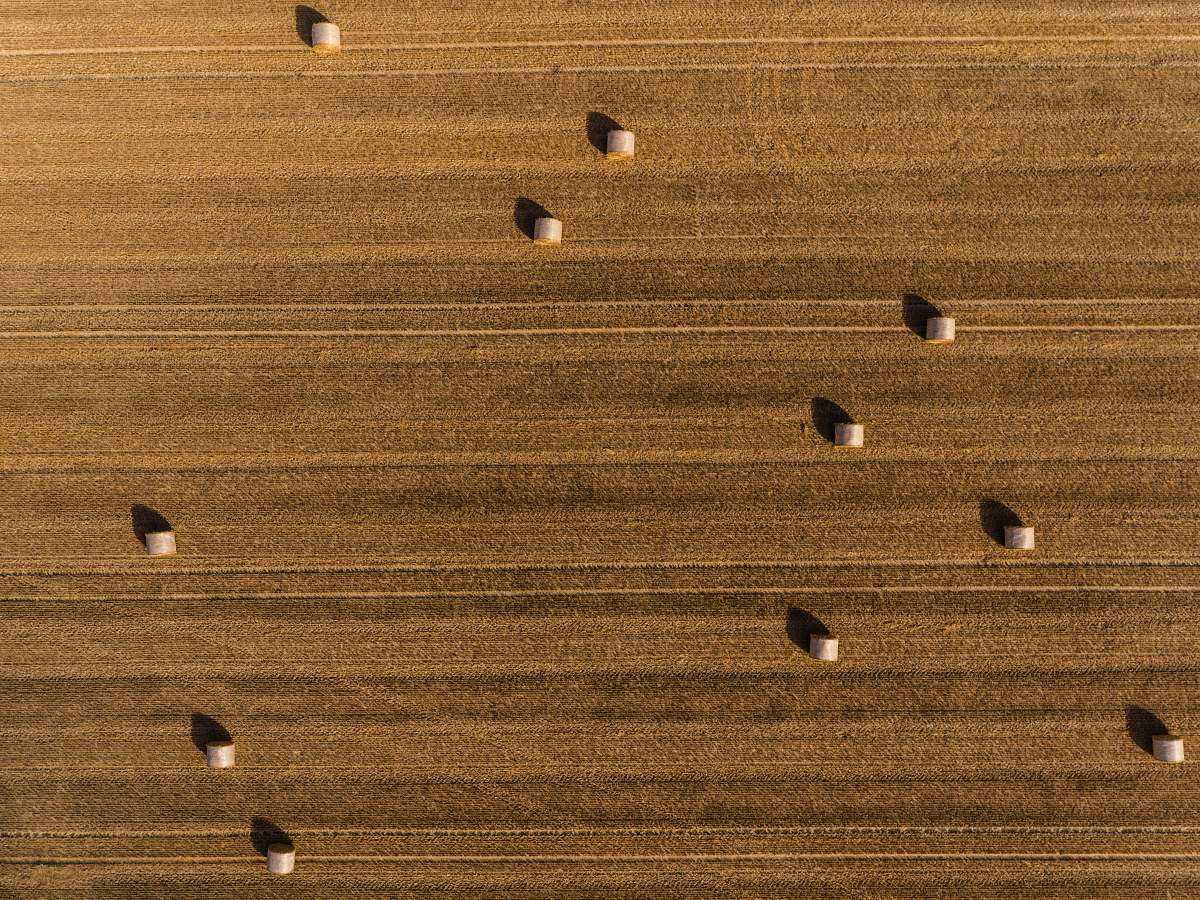Capture the beauty of rural landscapes with this stunning brown aerial photography featuring hay bales and a unique wooden board with holes. Perfect for agricultural themes, outdoor lifestyle promotions, or rustic decor projects, this image showcases the intricate patterns formed by nature and human craftsmanship. Ideal for use in websites, blogs, and marketing materials targeting farming, nature enthusiasts, or artisans.